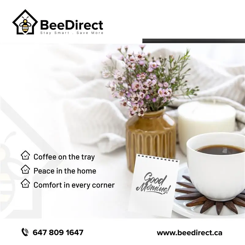 Why travellers trust BeeDirect